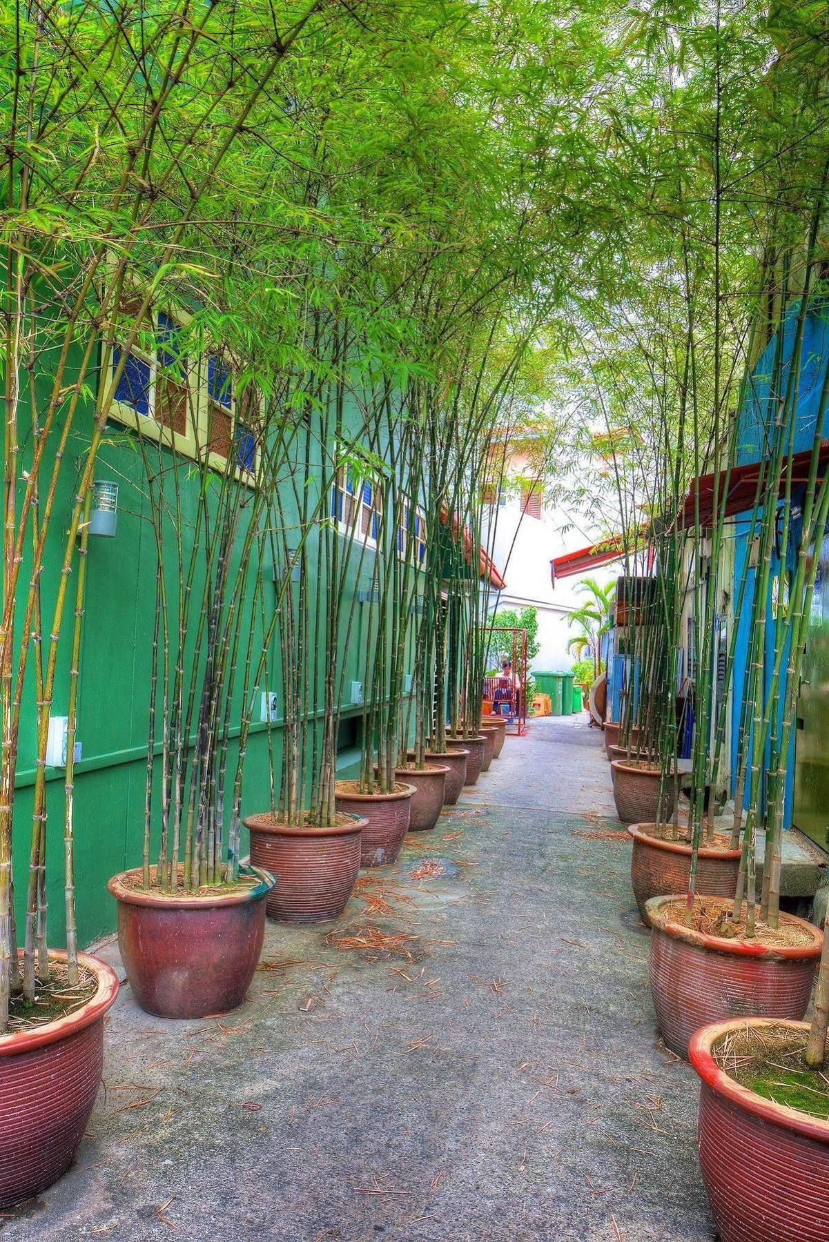 Superb Hostel Singapur Exterior foto